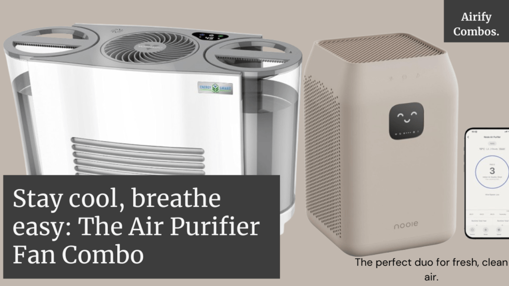 Air Purifier Fan Combo