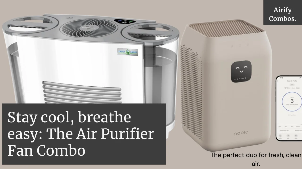 Air Purifier Fan Combo