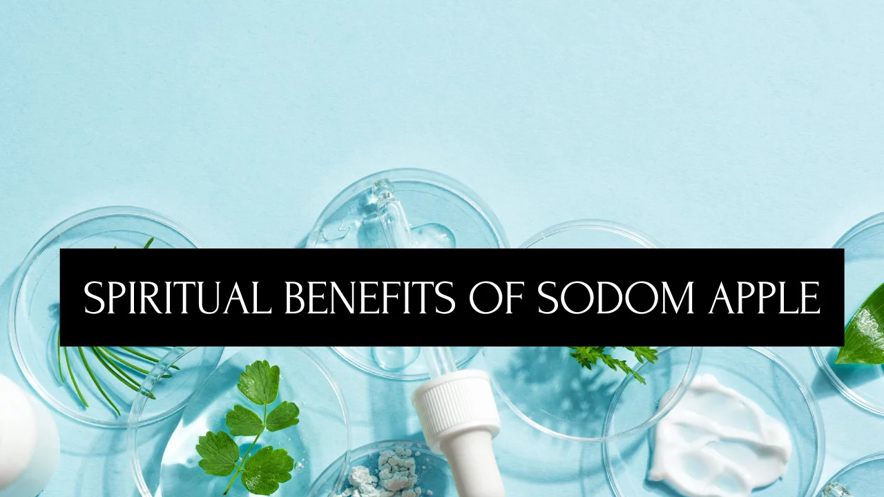 Spiritual Benefits of Sodom Apple