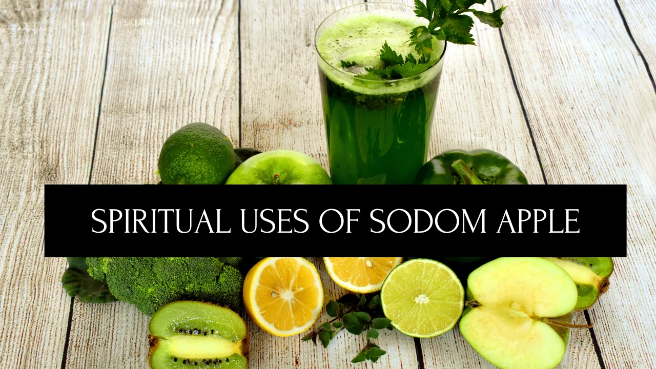 Spiritual Uses of Sodom Apple